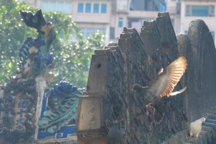 全运·文化 | 开幕式上那条“大鱼”是何来历你知道吗