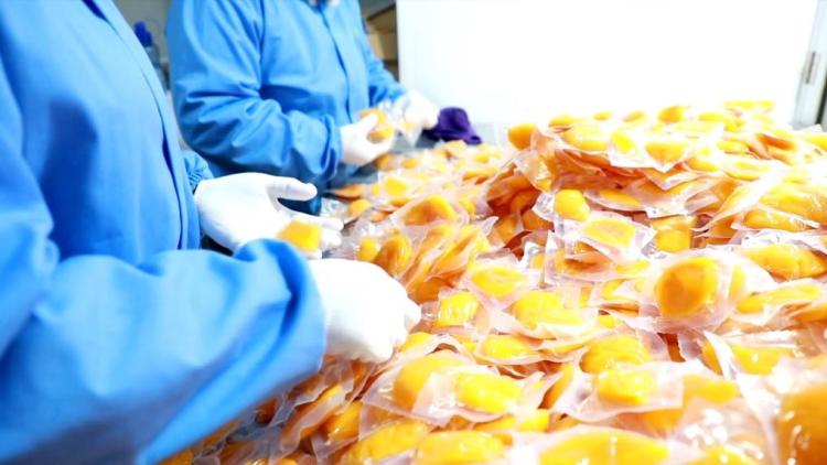 新华视点丨向“新”而行:区域产业升级激发经济新动能