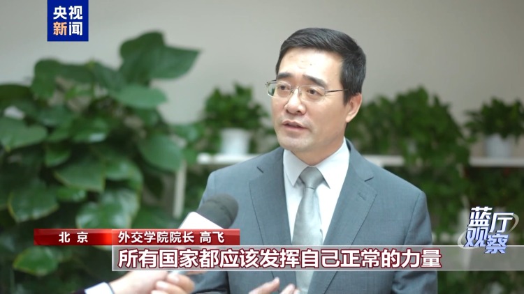 蓝厅观察丨从这场记者会 读懂中国外交