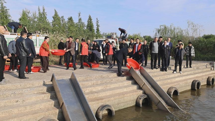 湖南衡阳县81万尾鱼苗人工放流蒸水河_fororder_1