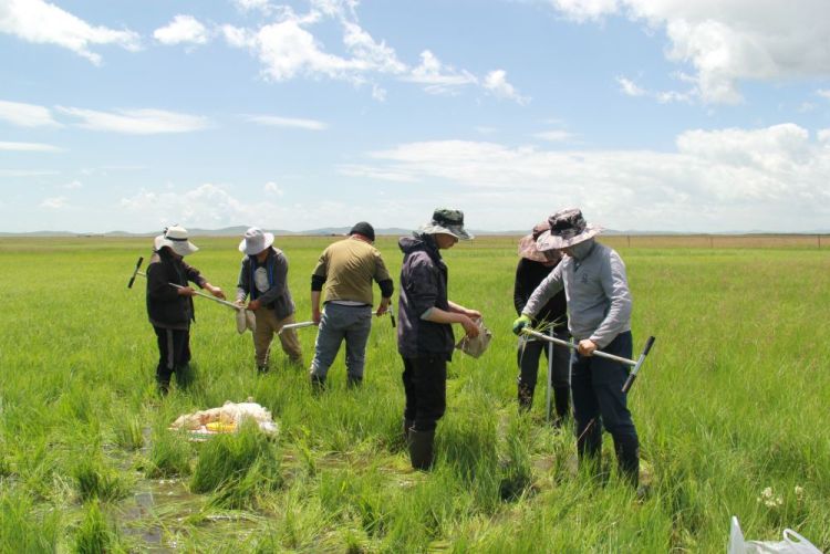 报效祖国 建功西部|30多年接力,他们用“生态之眼”揭示青藏高原的秘密