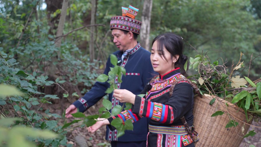 "Silver-haired" Health and Wellness Paints a Happy Portrait of Jianghua, Hunan_fororder_图片18