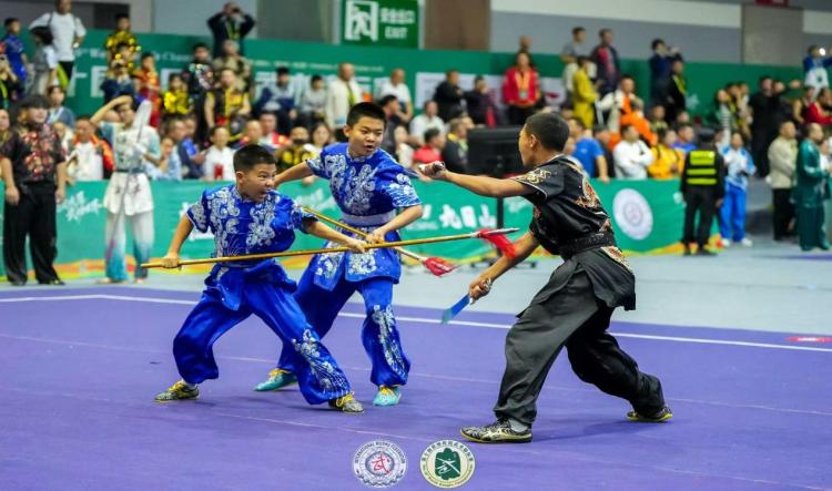 内蒙古武术健儿世锦赛斩获76枚奖牌载誉凯旋