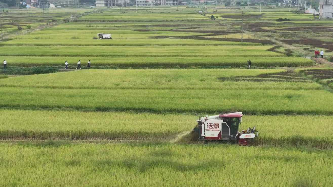 湖南衡阳县农民趣味运动会庆丰收_fororder_2