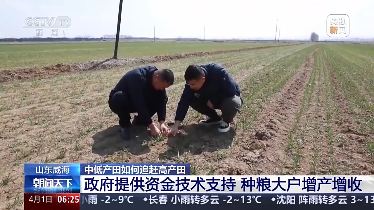 丘陵薄地如何提单产?平原沙地怎么多打粮?春耕威海有新招