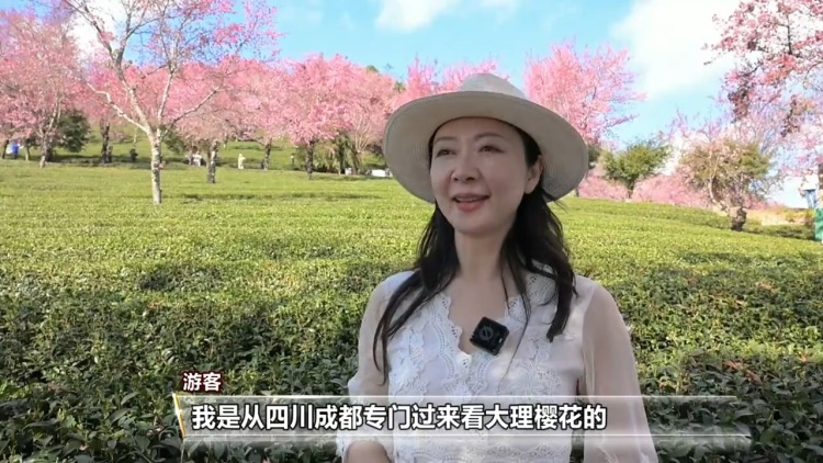 灯彩映福+舌尖寻味+冬游升温 共赏喜迎元旦幸福图景