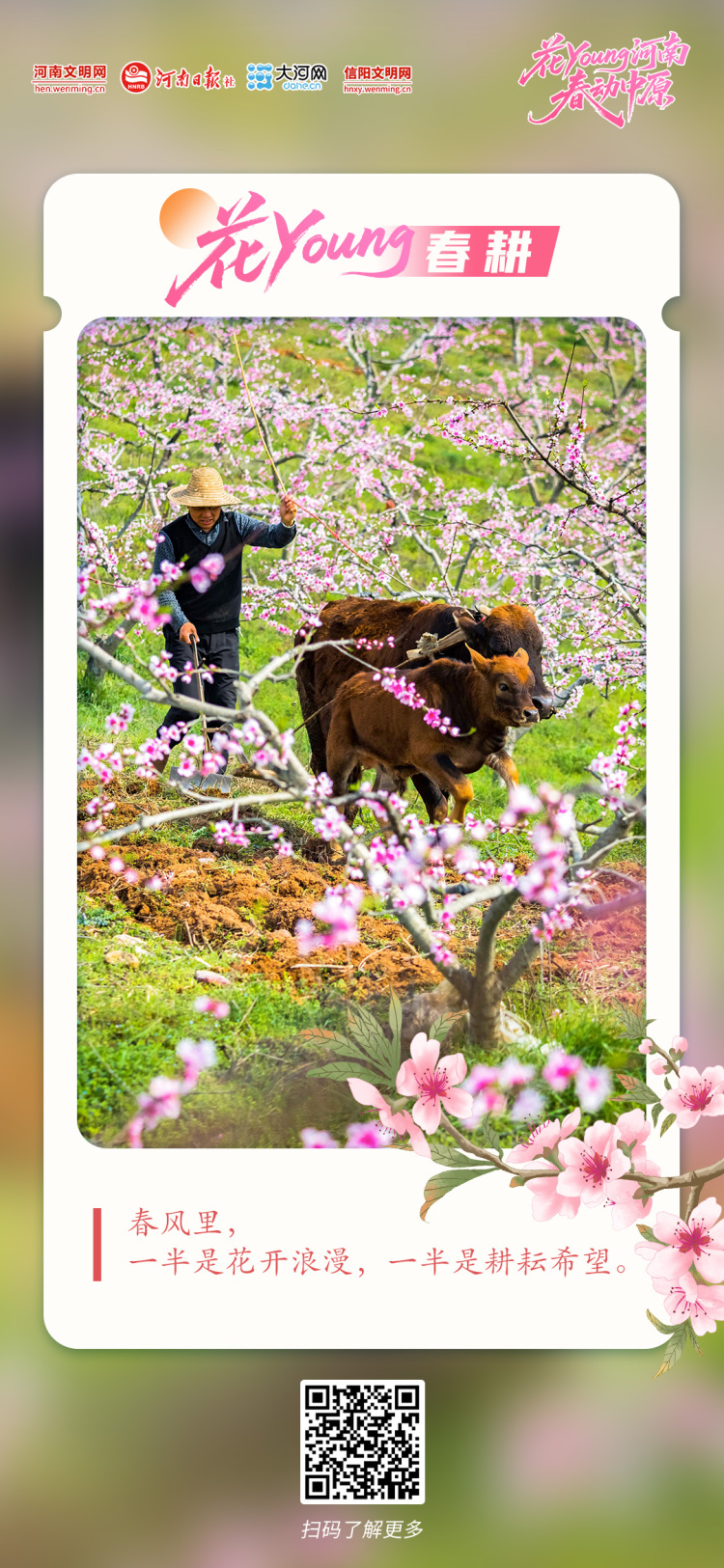 花Young河南 春动中原丨原来你是这样的河南