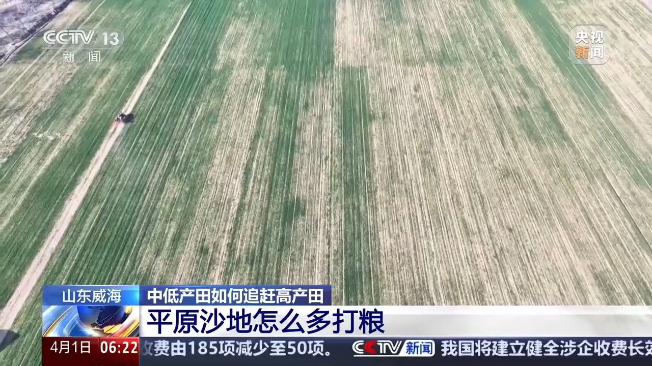 丘陵薄地如何提单产?平原沙地怎么多打粮?春耕威海有新招