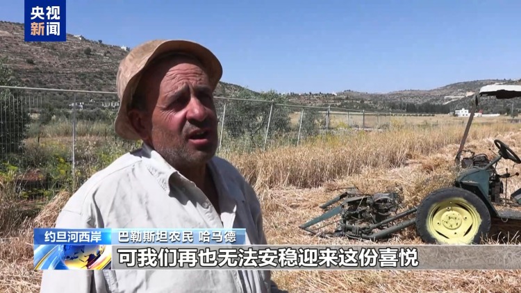 视频丨巴勒斯坦官方机构:以方5月在约旦河西岸实施超1600起袭击