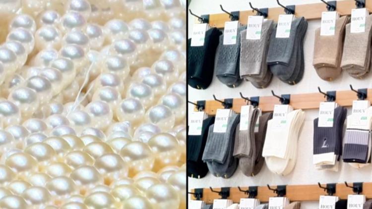 新华视点丨向“新”而行:区域产业升级激发经济新动能