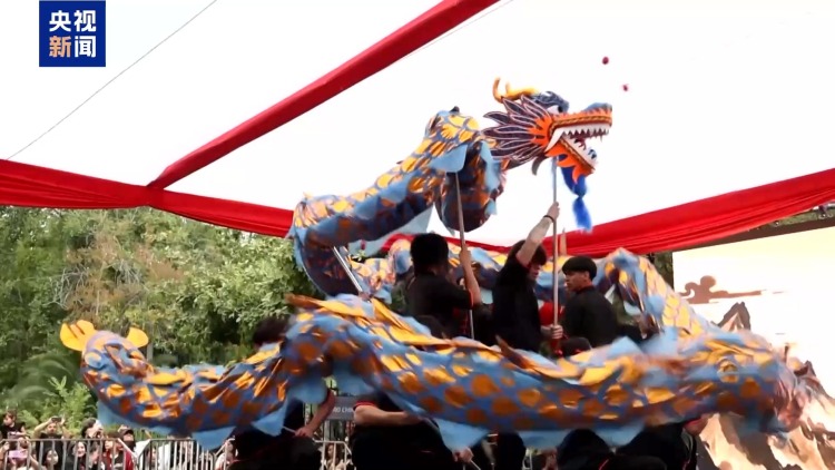 看演出 品民俗 多国举行活动共庆马年新春