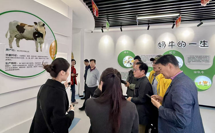 한국 사진작가 방문단, 산둥 룽커우서 취재 및 교류 전개_fororder_图片2