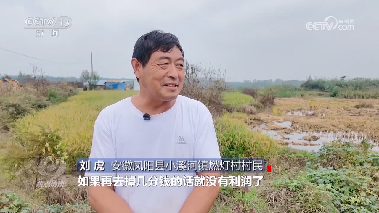 焦点访谈|秋粮抢收抢烘 这场“保卫战”如何打好?