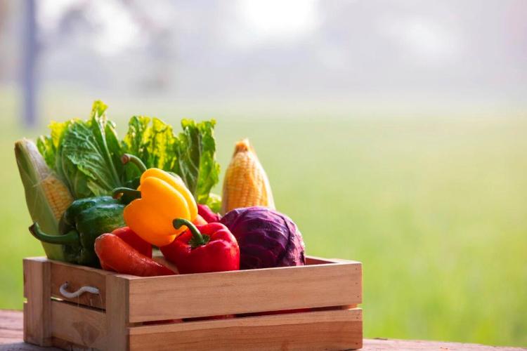 推广绿色消费积分、推动废旧物品回收再利用……9部门发文推进绿色消费