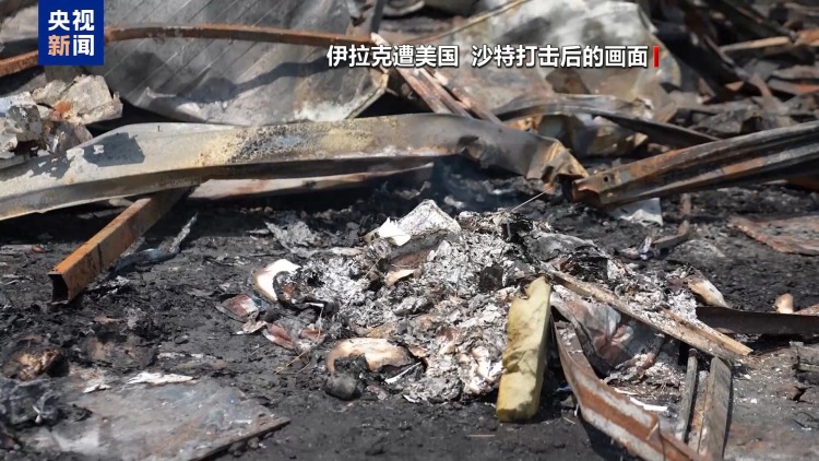 视频丨沙特国防大臣为何此时访美 专家:寻求置身事外可能性