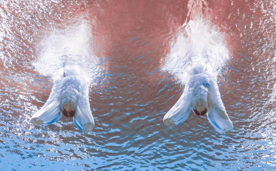 十五运盛会落幕,体育之光照亮大湾区融合新征程