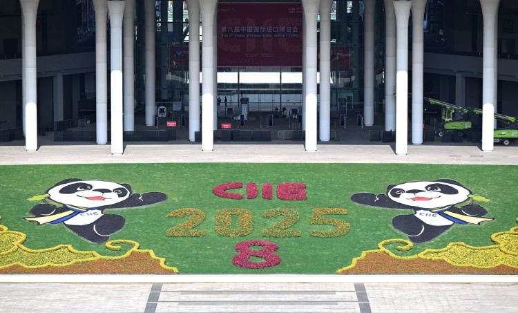 精耕细作筑保障 上海进博氛围浓厚