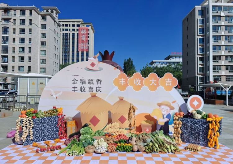 鄂尔多斯市康巴什区:“兴旺人”的日子似“火红的石榴”