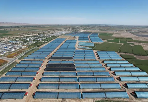 武威民勤:党建领航强根基 乡村振兴谱新篇_fororder_3