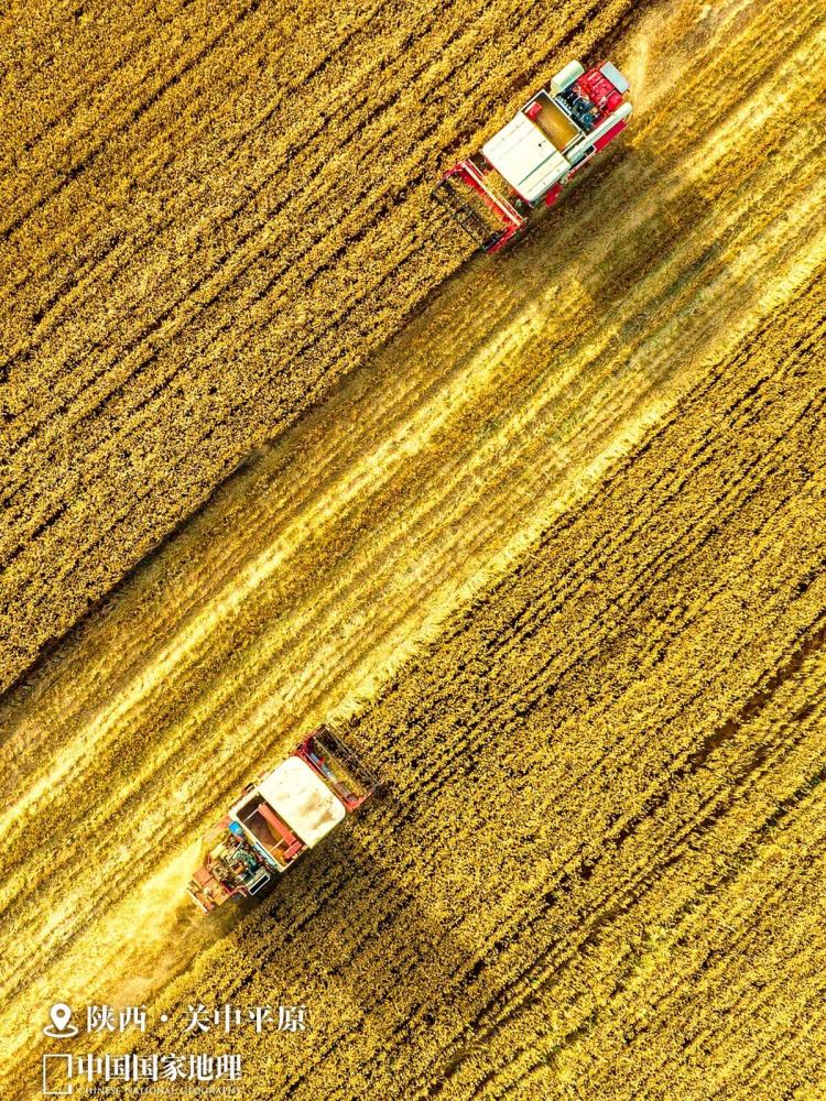 丰饶的中国,看“最富饶”的风景!