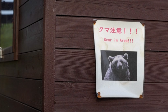 熊出没!日本遭熊袭击死亡人数创新高