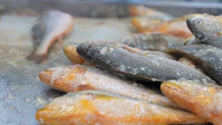 灯彩映福+舌尖寻味+冬游升温 共赏喜迎元旦幸福图景