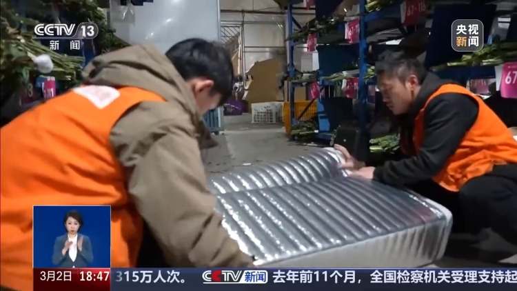 从花田到千家万户 这是一束云南鲜花的“春运之旅”