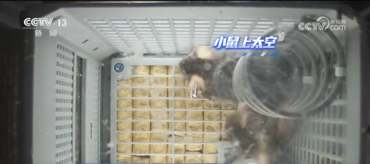 回顾2025科创亮眼“成绩单” 多项新突破新成果勾勒创新中国新图景