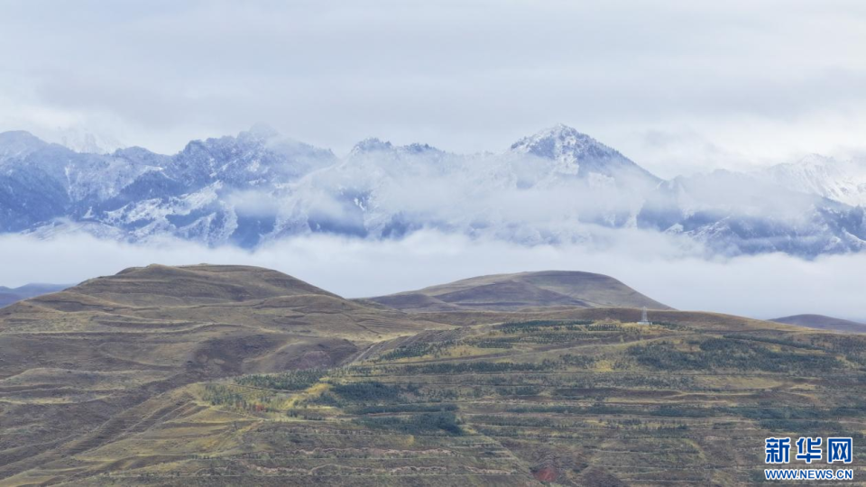 【“飞阅”中国】甘肃民乐:祁连山下秋色惹人醉_fororder_4