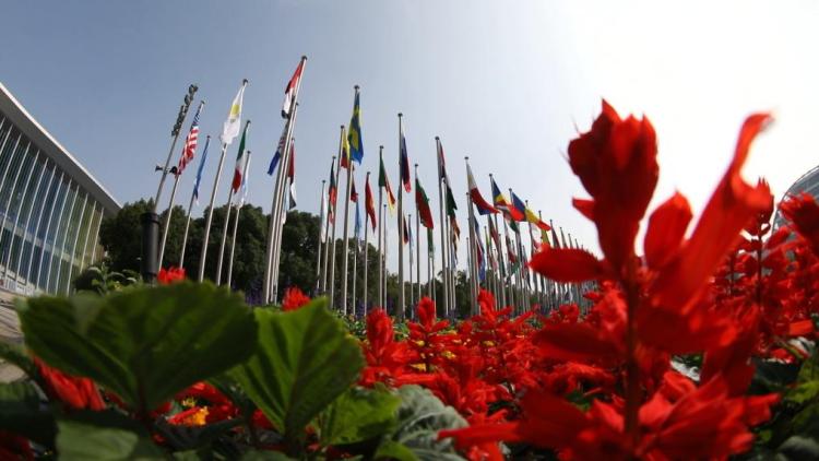 新华视点|第八届进博会:共享大市场,共创新机遇