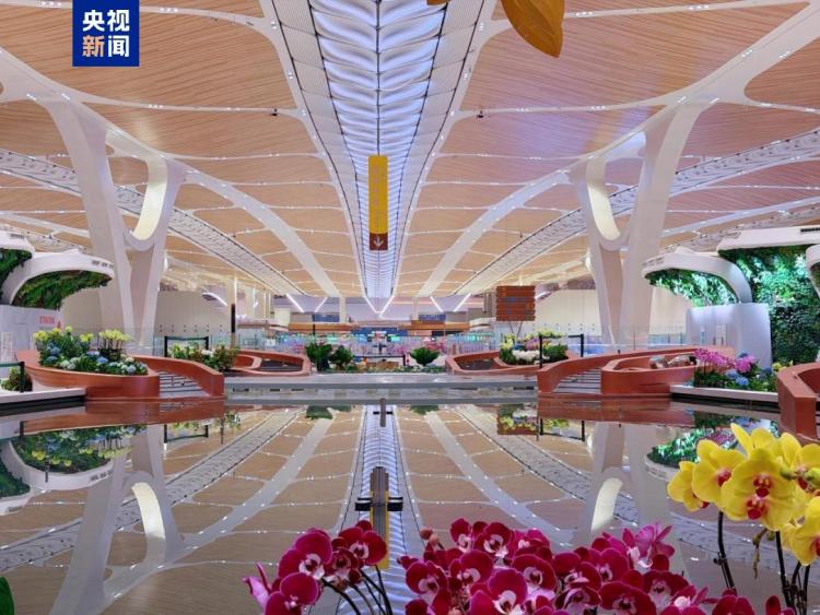 白云机场成国内首个五条商用跑道运行机场 大湾区世界级机场群加快建设