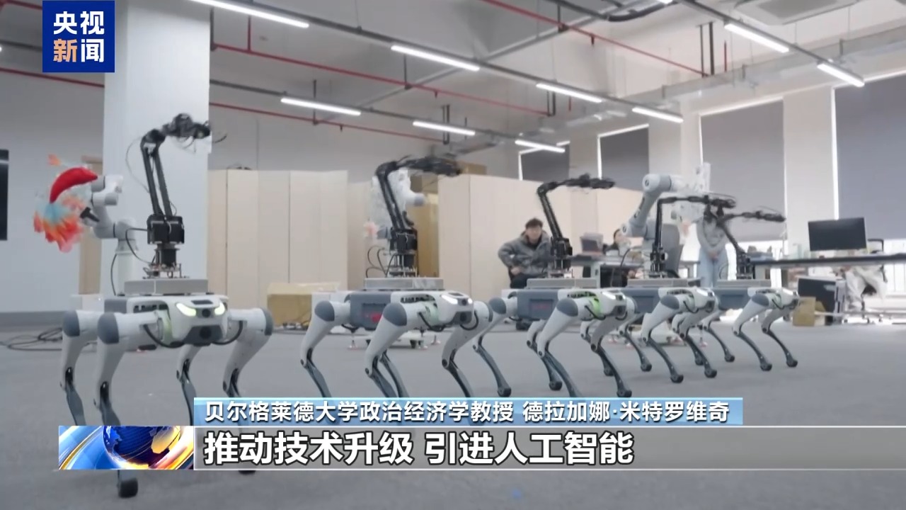视频丨塞尔维亚专家:期待塞中各领域合作迈向新高度