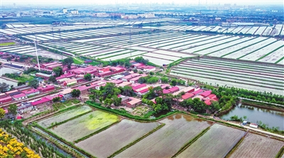图片默认标题_fororder_p3_b