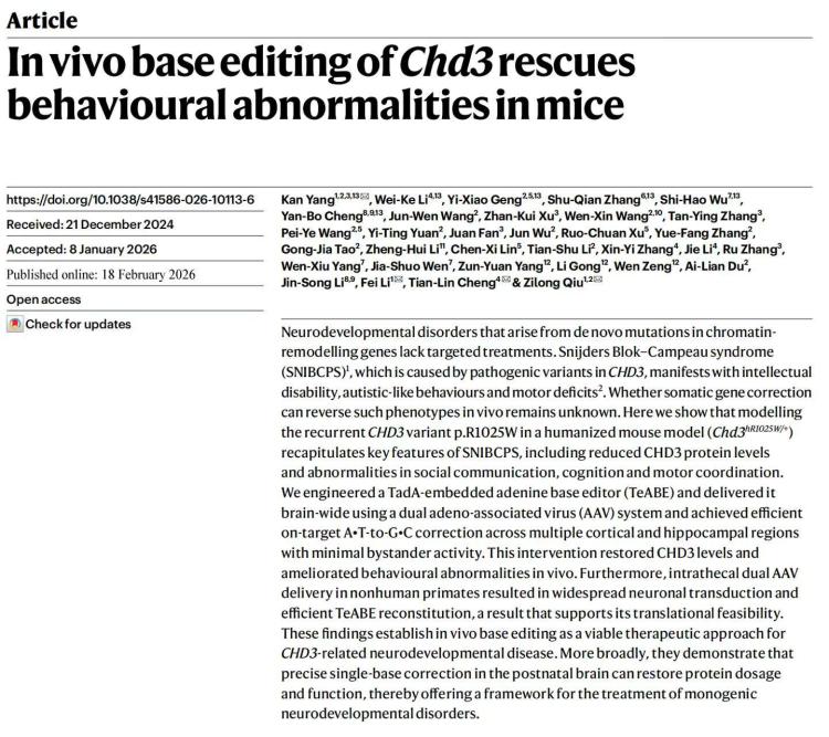 《自然》发表中国研究成果:修复大脑里一个“错字” 孤独症小鼠恢复了正常