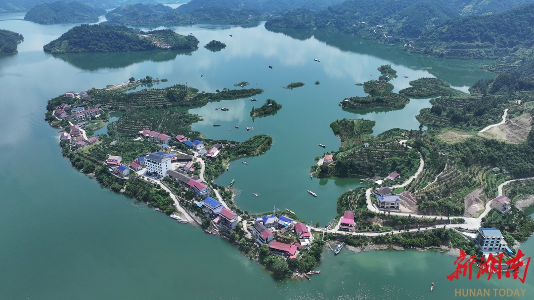 品亚运柑橘,赏千岛湖景!10月26日一起到安化宝塔山组个“橘”_fororder_5