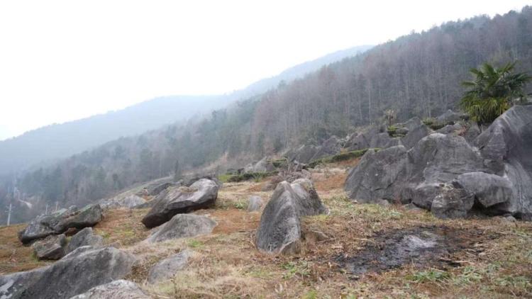 新春走基层|绝壁之上,一个“索道村”的新生