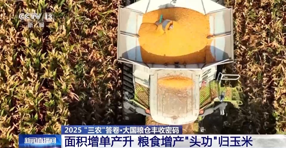 视频丨1.43万亿斤!为何今年全国粮食产量再创新高?