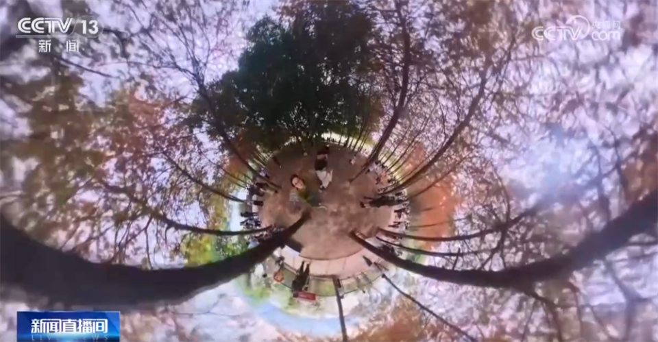 多场景联动打造“赏秋游”沉浸式新体验 “秋日经济”带火文旅消费新实践