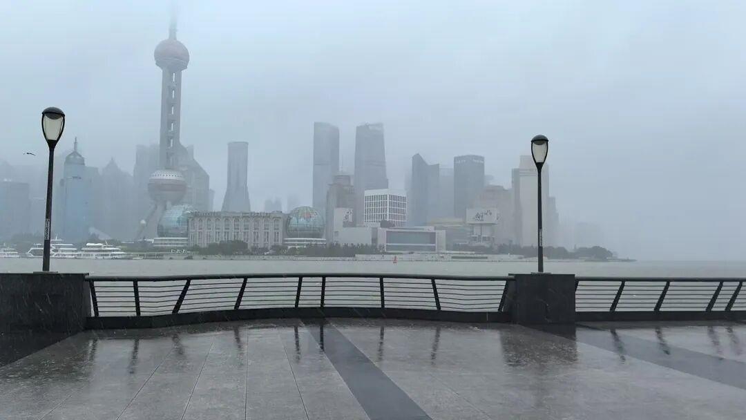 减少外出!“白海豚”来势汹汹 多地公交地铁停运、景区关闭