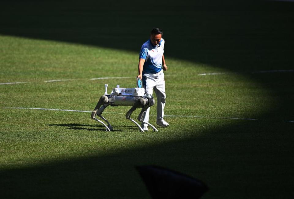 十五运盛会落幕,体育之光照亮大湾区融合新征程