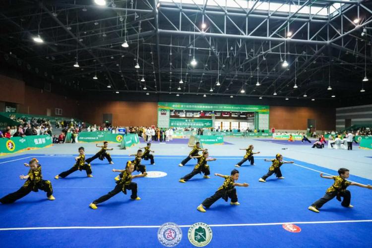 内蒙古武术健儿世锦赛斩获76枚奖牌载誉凯旋