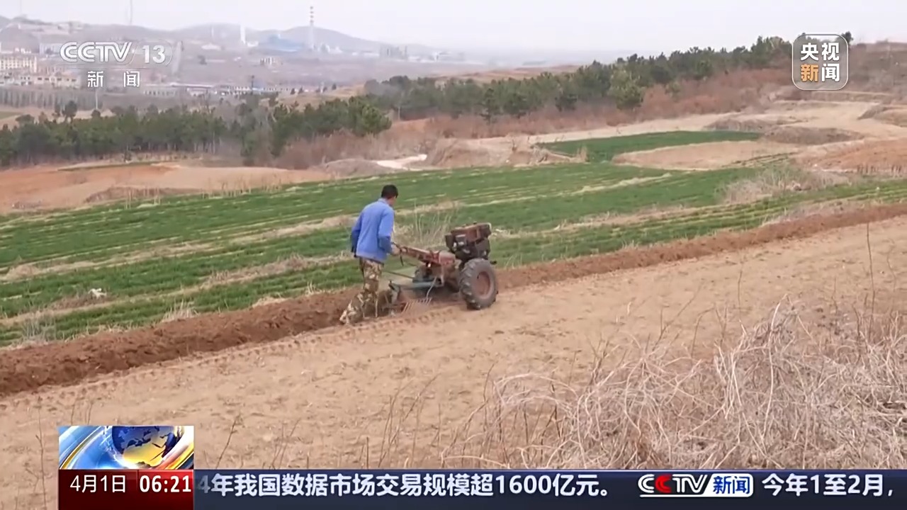 丘陵薄地如何提单产?平原沙地怎么多打粮?春耕威海有新招