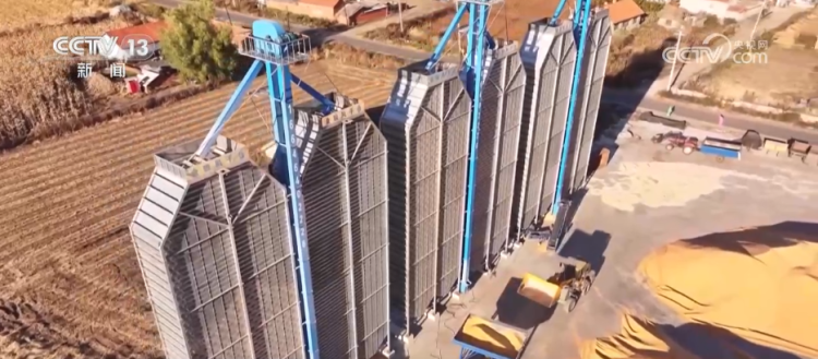 秋收一线观察 | 告别“地趴粮” 住进“好房子” 各地秋粮收储有“粮”方