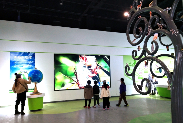 张掖山丹:科技创新为县域经济高质量发展蓄势赋能_fororder_2019年11月2日游客在山丹县科技馆参观体验 翟继宗