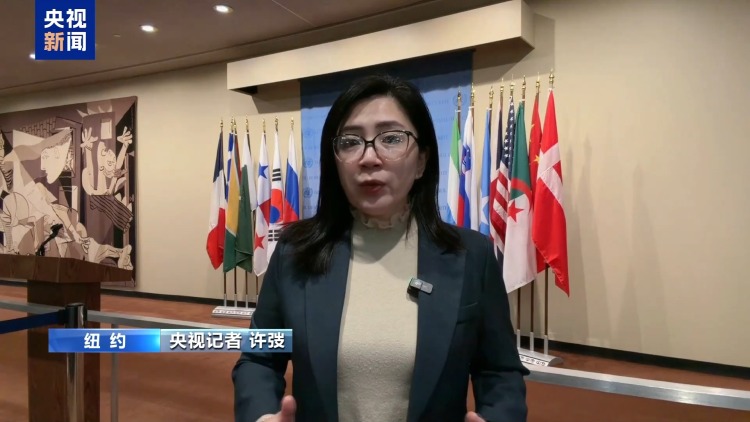 总台记者观察丨安理会涉加沙决议草案表决在即 多方博弈进入深水区