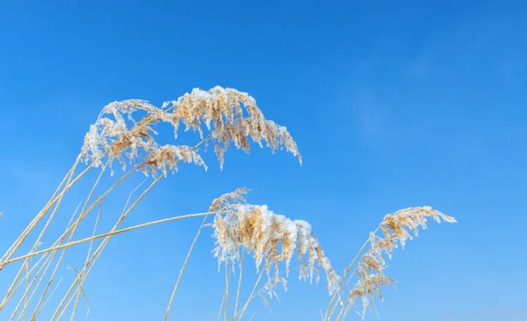 天气一变,为何关节就痛?| 科普时间_fororder_2_副本