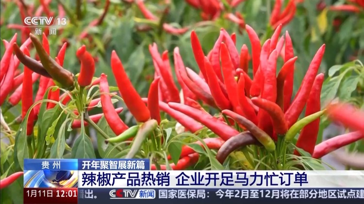 让企业“轻装快跑” 贵州推出“新年政策包”