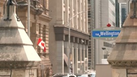 视频丨美再宣布加征关税 加方:美国也将因贸易战而感到痛苦