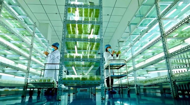 张掖山丹:科技创新为县域经济高质量发展蓄势赋能_fororder_1ef906d4b89d475cbca9d154e52b88f8_edit_166173162261295