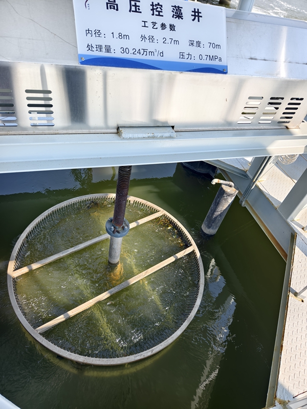 新春走基层|山朝水朝,不如人来朝——异龙湖畔感受高原湖泊治污成果